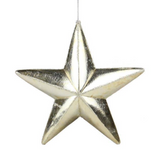 antique silver/champagne five point star ornament 