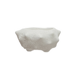 White textured object on a white background