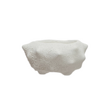 White textured object on a white background
