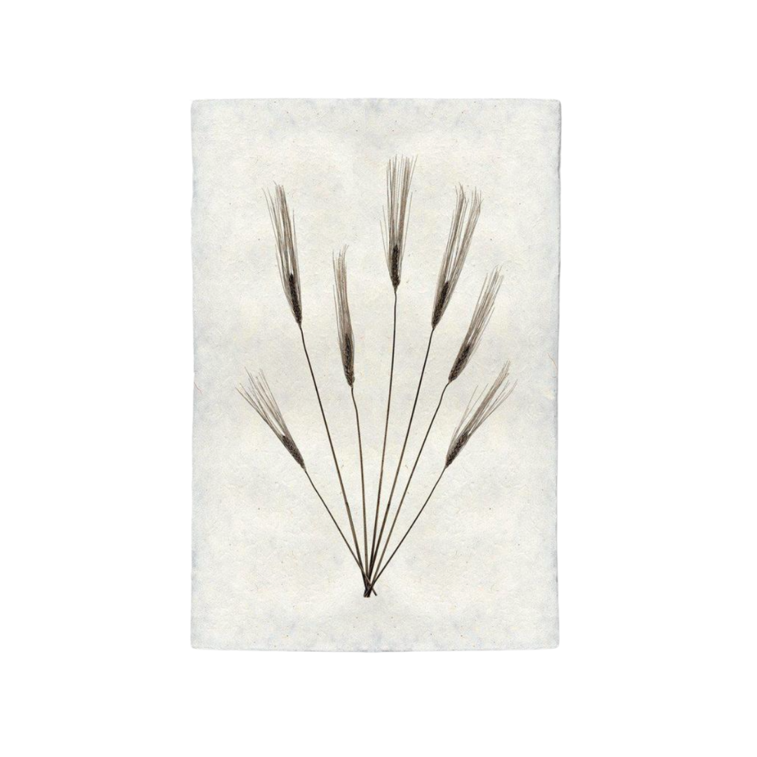 Decorative wall art with stylized plant branches on a textured white background