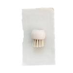 White dish brush with a handle on a white background