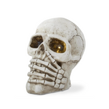 Decorative skull with a white background