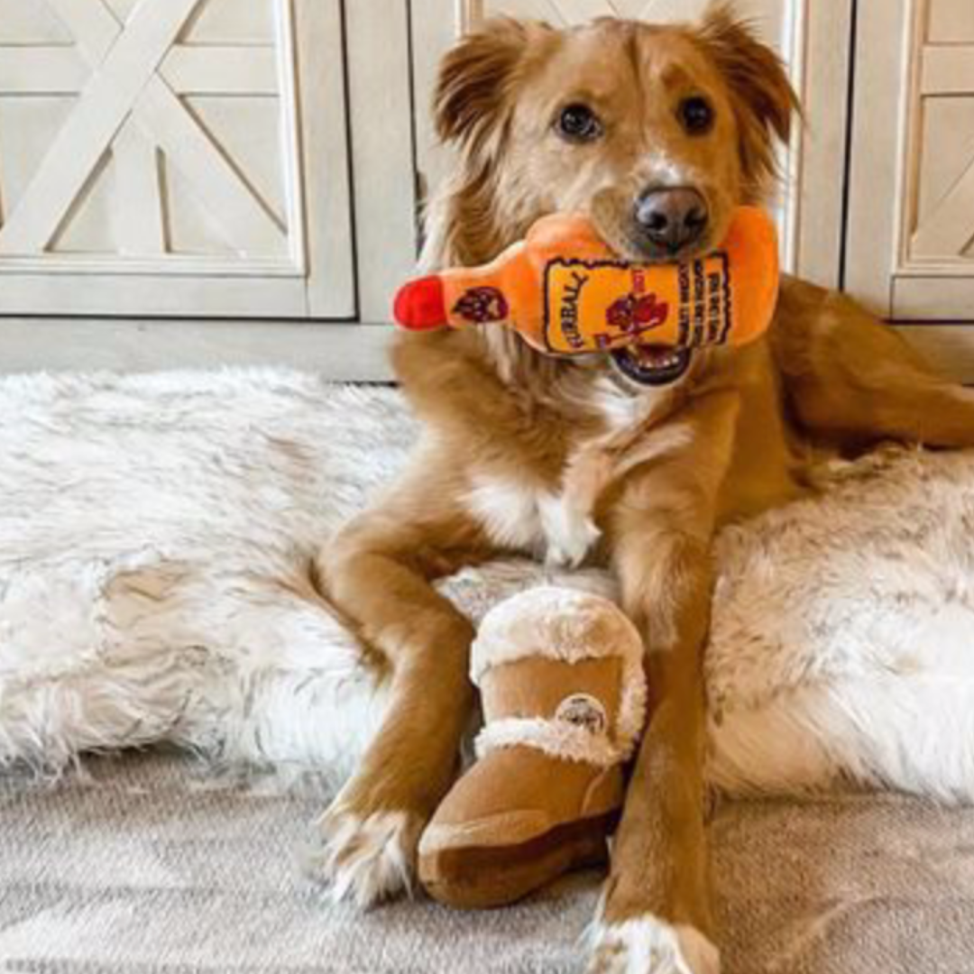 dog holding Plush orange “Furball Cinnamutt Whisky” dog toy shaped like a whiskey bottle with embroidered label and built-in squeaker.