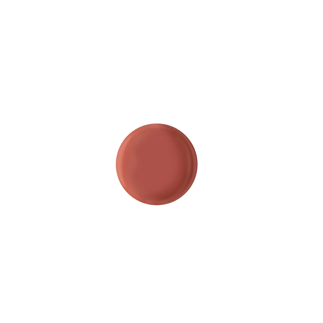 Round terracotta-colored object on a white background
