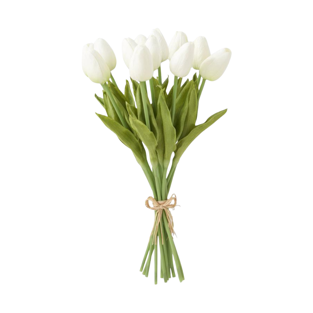 Bouquet of white tulips with green stems on a white background