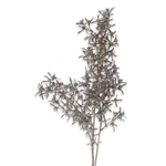 Decorative branch with small flowers on a white background