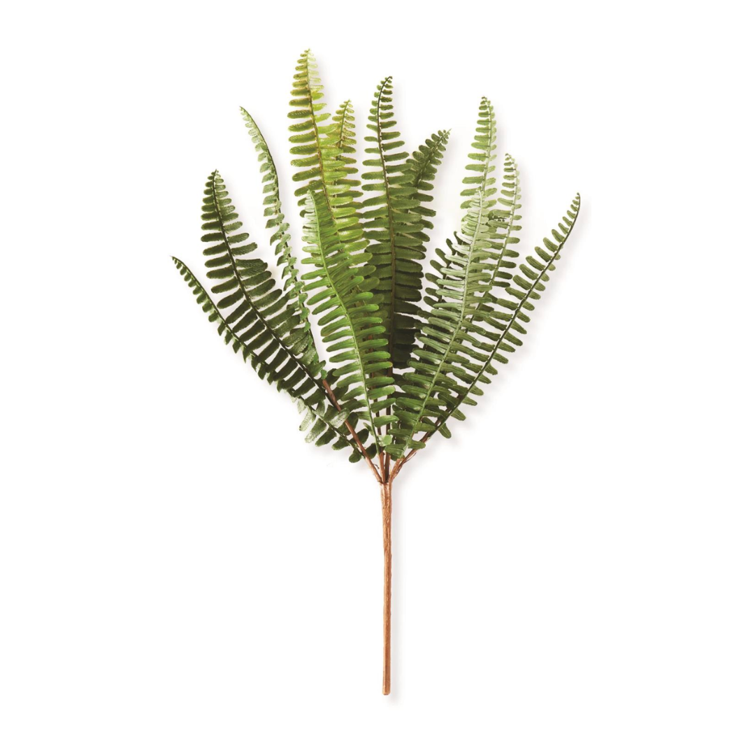 Artificial fern plant on a white background