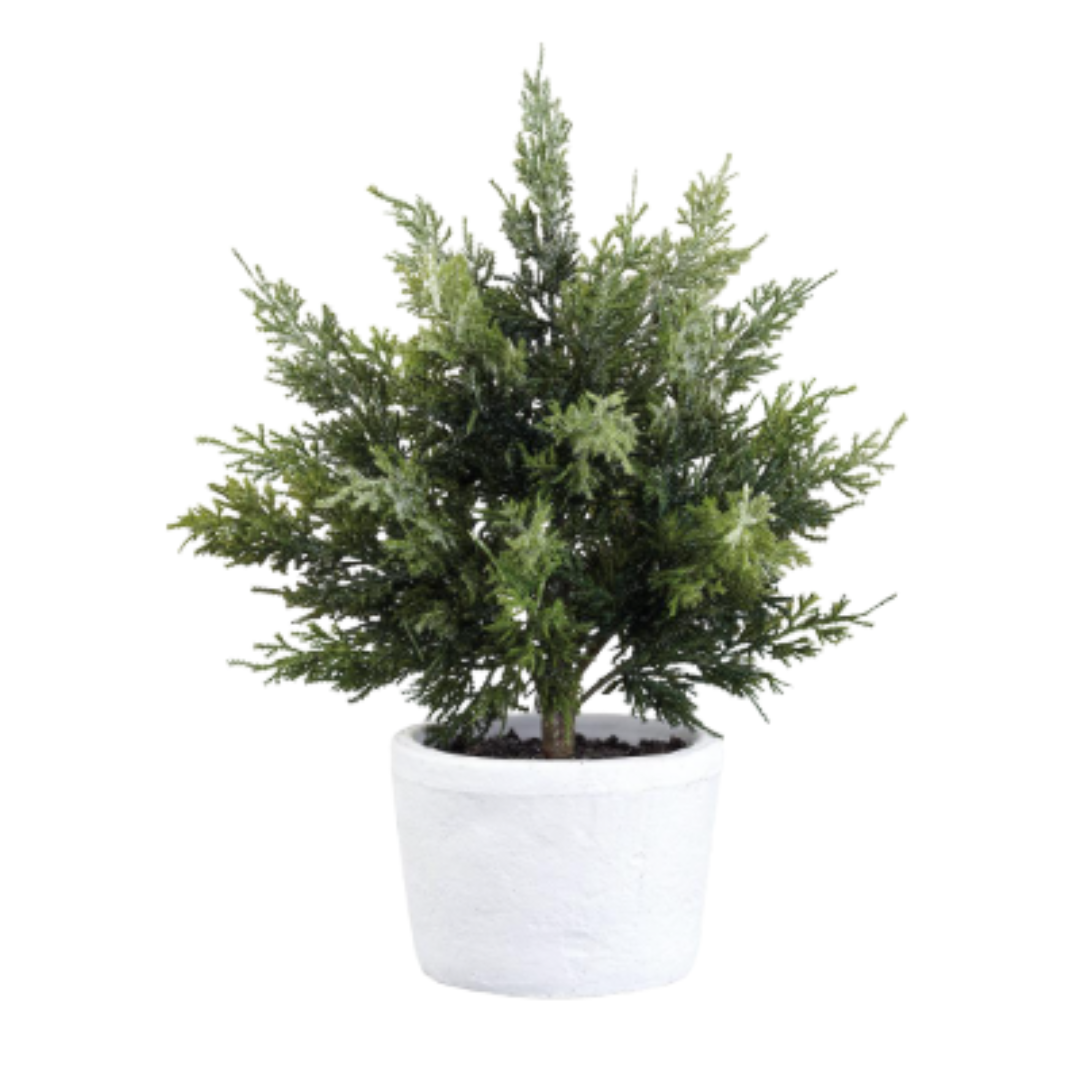 “17-inch faux juniper tree in a white cement pot with natural green branches on a white background.”