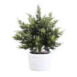 “17-inch faux juniper tree in a white cement pot with natural green branches on a white background.”