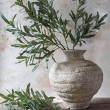 Olive Branch - Soft Green