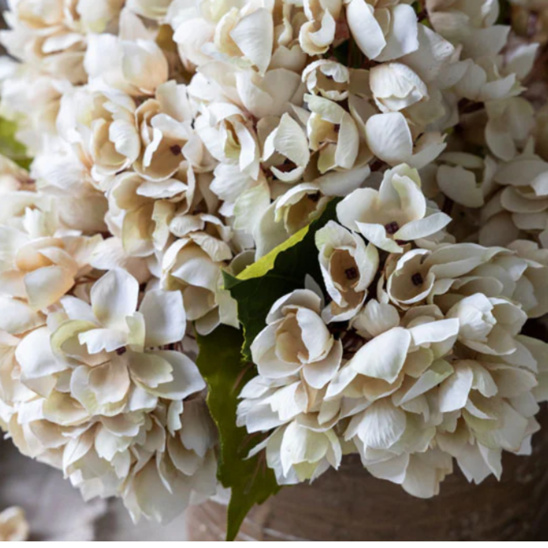 Close-up of a bouquet of white flowers with a blurred background
