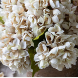 Close-up of a bouquet of white flowers with a blurred background