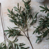 Olive Branch - Soft Green