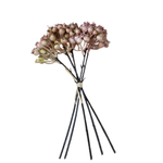 Bouquet of dried flowers with black stems on a white background