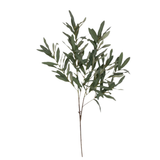 Olive Branch - Soft Green