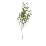 Willow Branch - Forest  Green