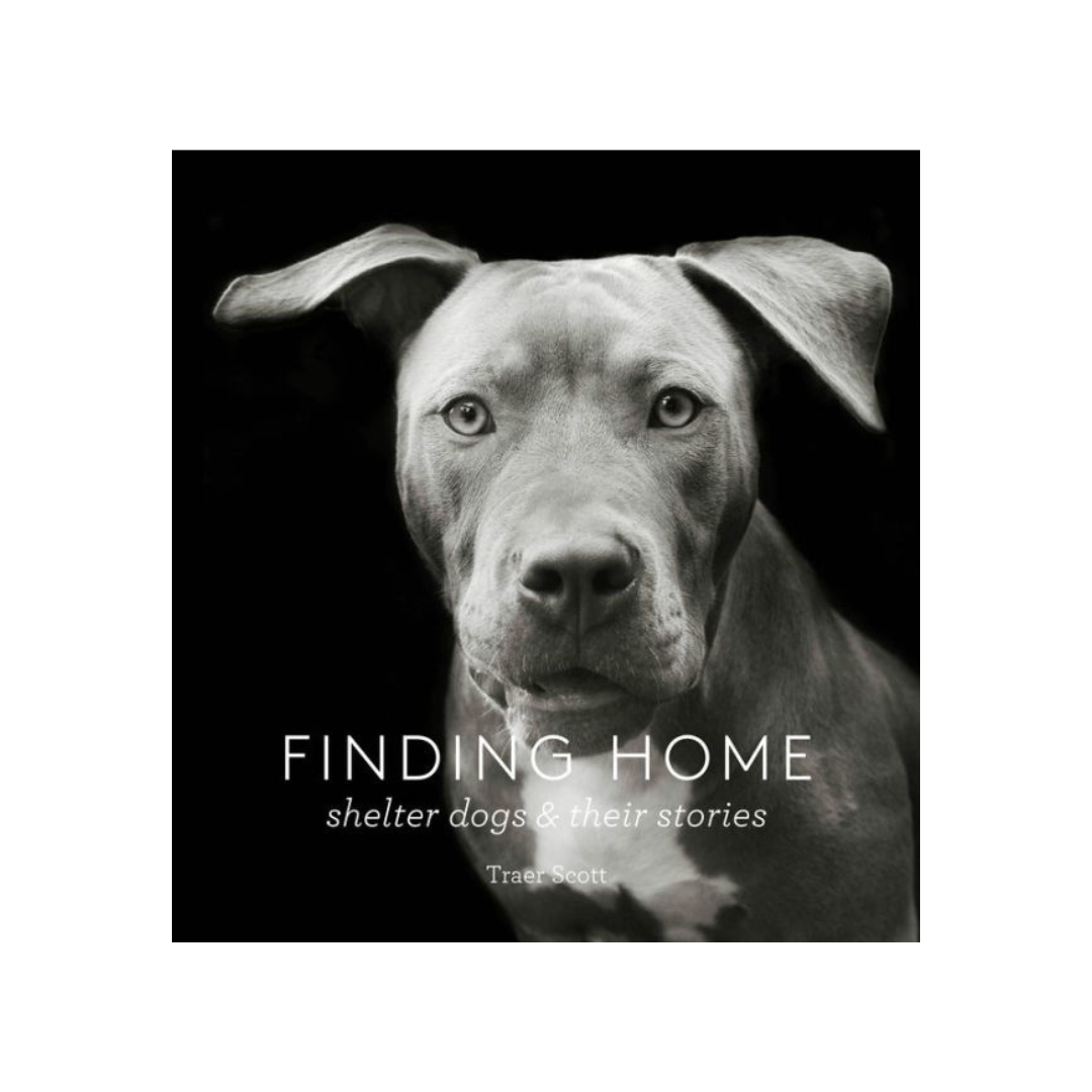 finding home shelter dogs and their stories hardcover book