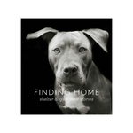 finding home shelter dogs and their stories hardcover book