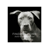 finding home shelter dogs and their stories hardcover book