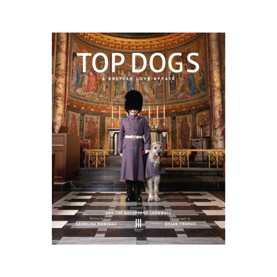 top dogs hardcover coffee table book