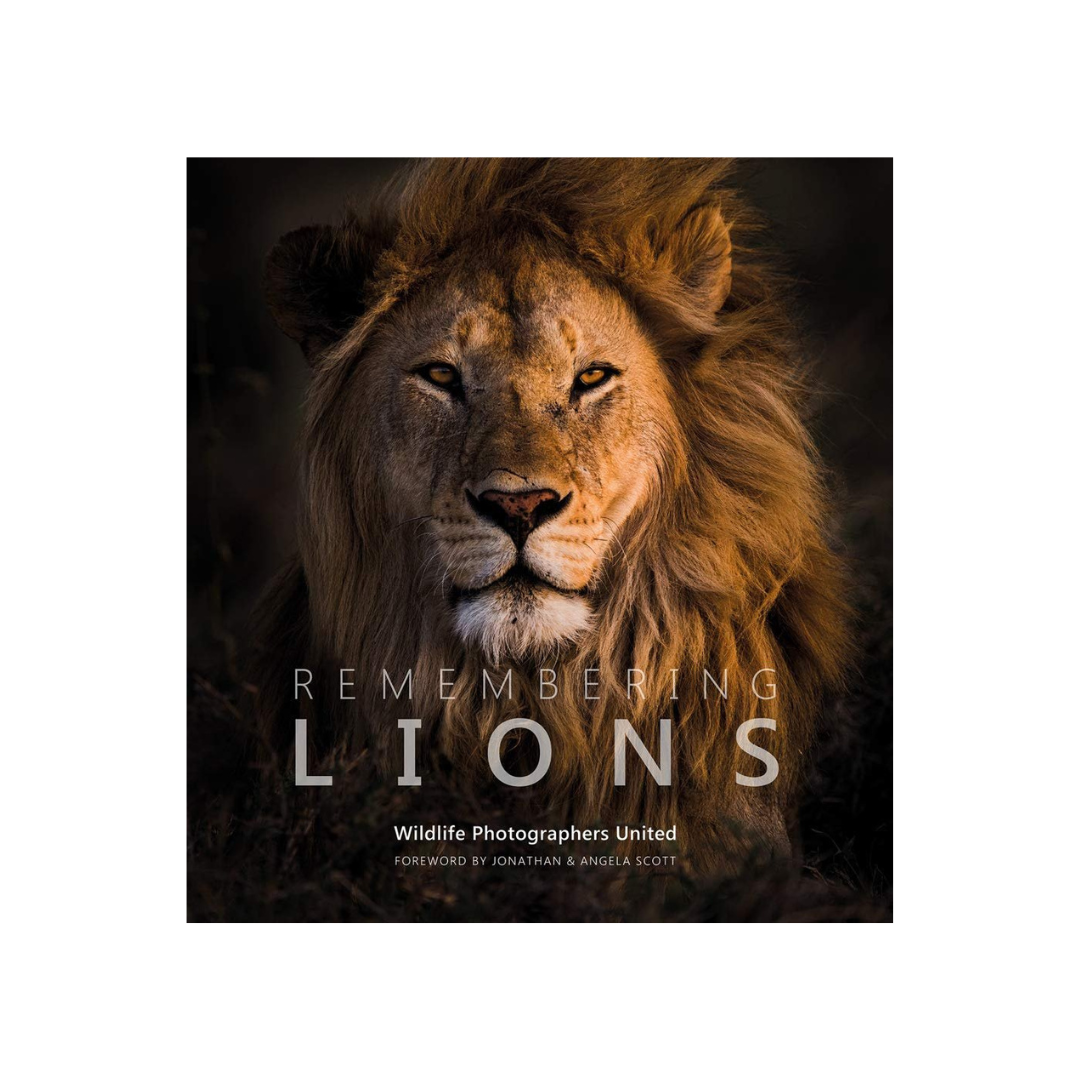 remembering lions hardcover coffee table book