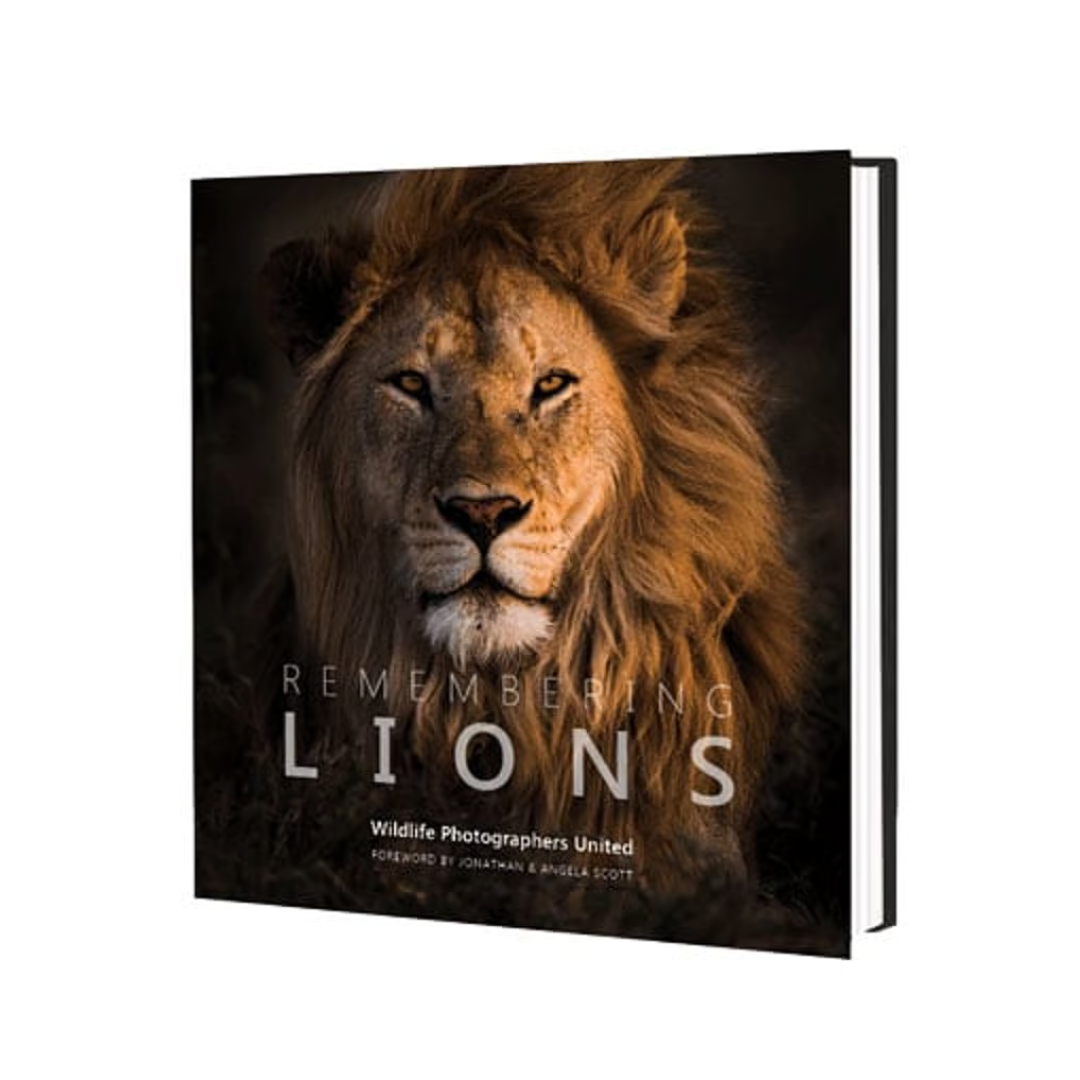 remembering lions hardcover coffee table book