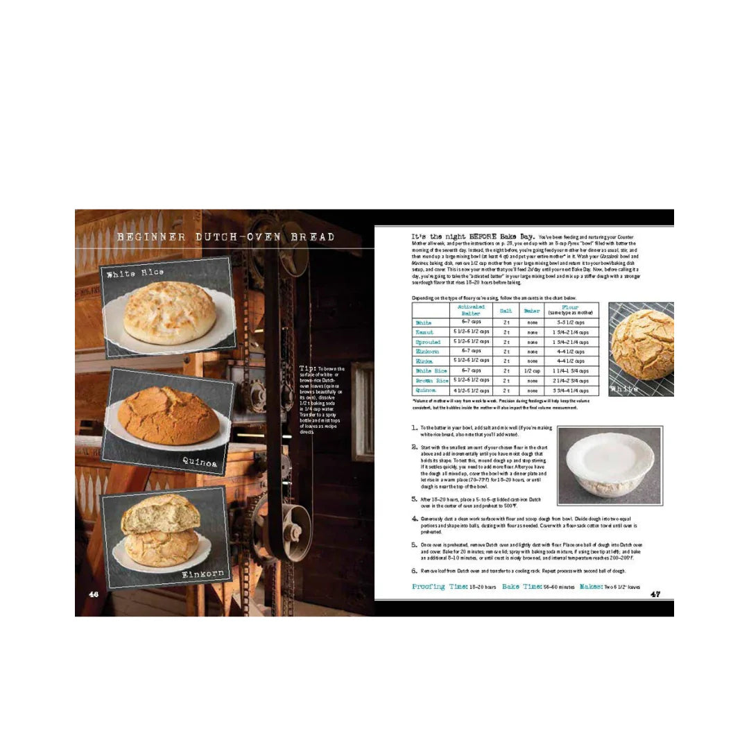 wild bread cookbook, sourdough reinvented