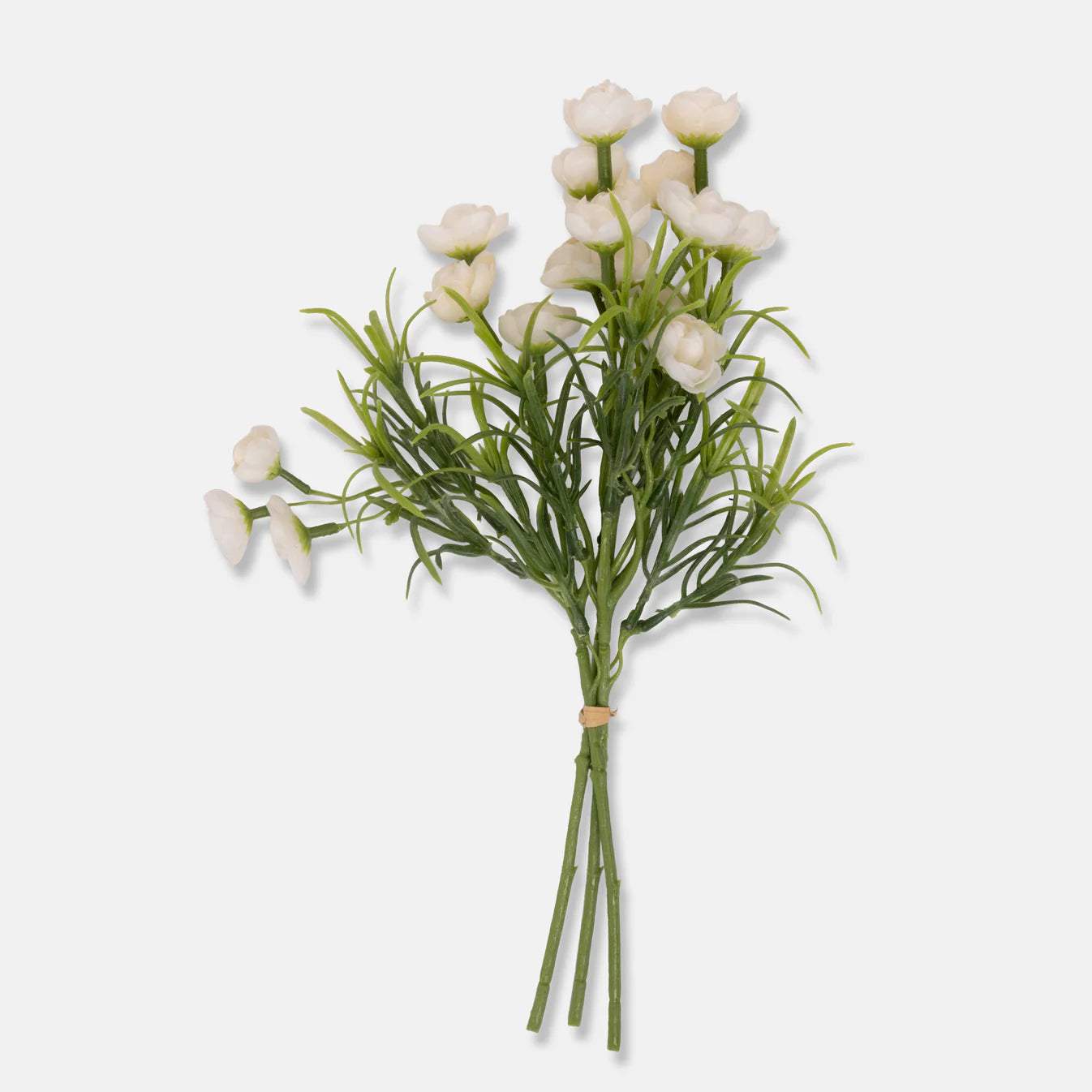 Bouquet of white flowers with green stems on a light gray background
