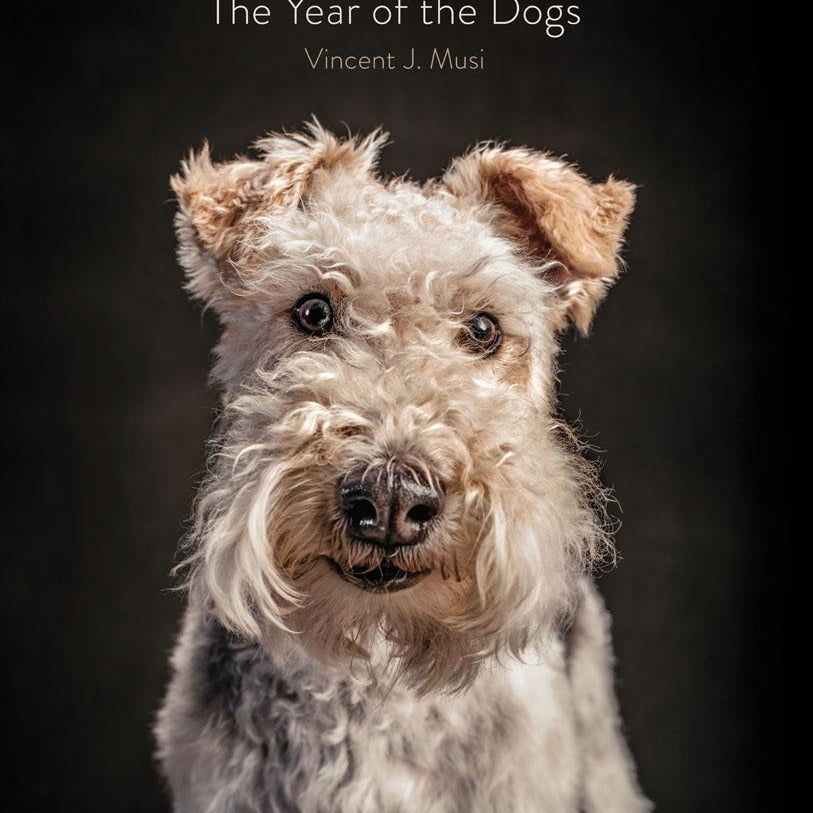 year of dogs book 