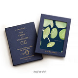 Thank You Cards Boxset (Set of 6) - Pilea Plant