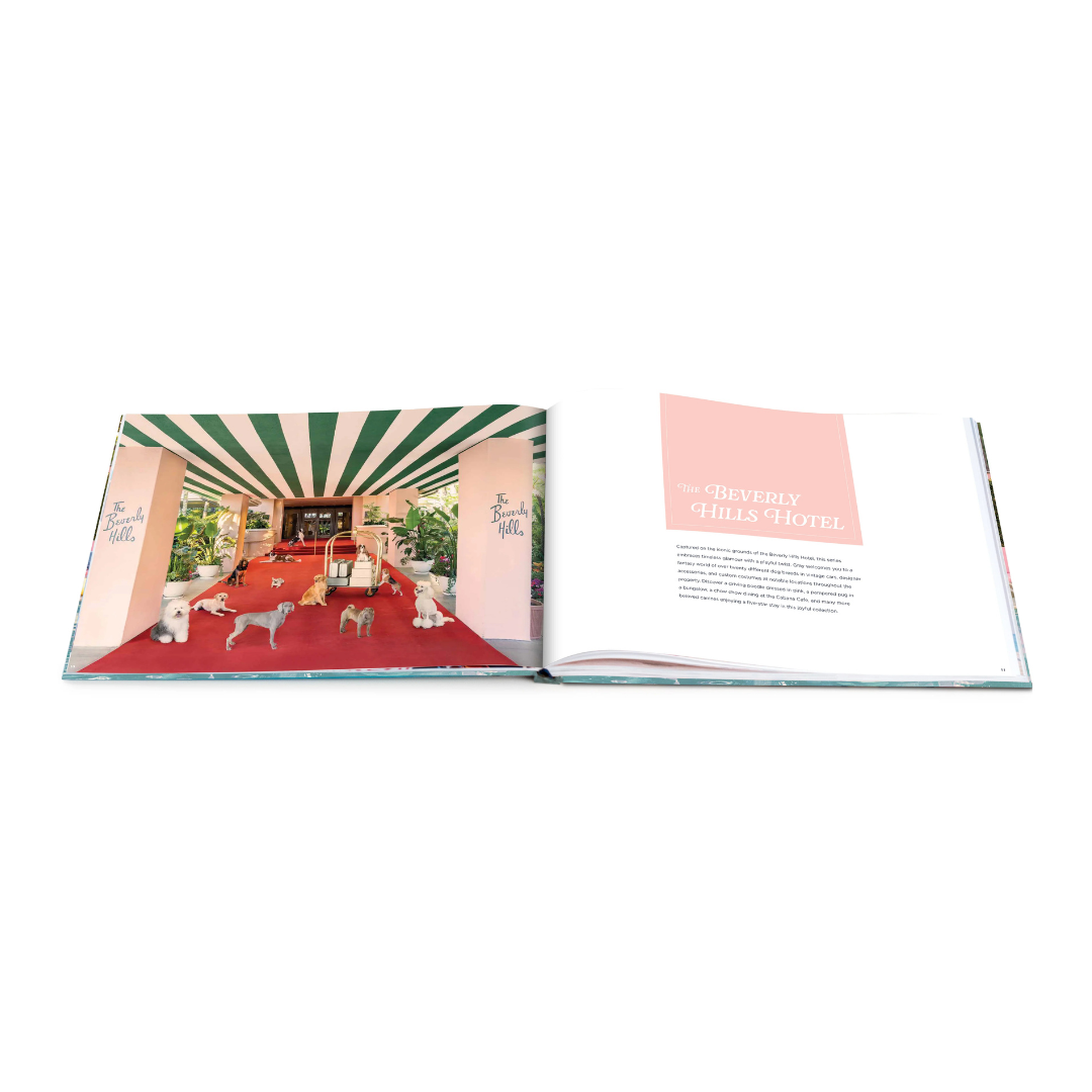 Open book showing a interior design layout with furniture and decor.