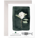 Card, White Flower (Sympathy)