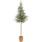 Silvia Cypress Topiary
