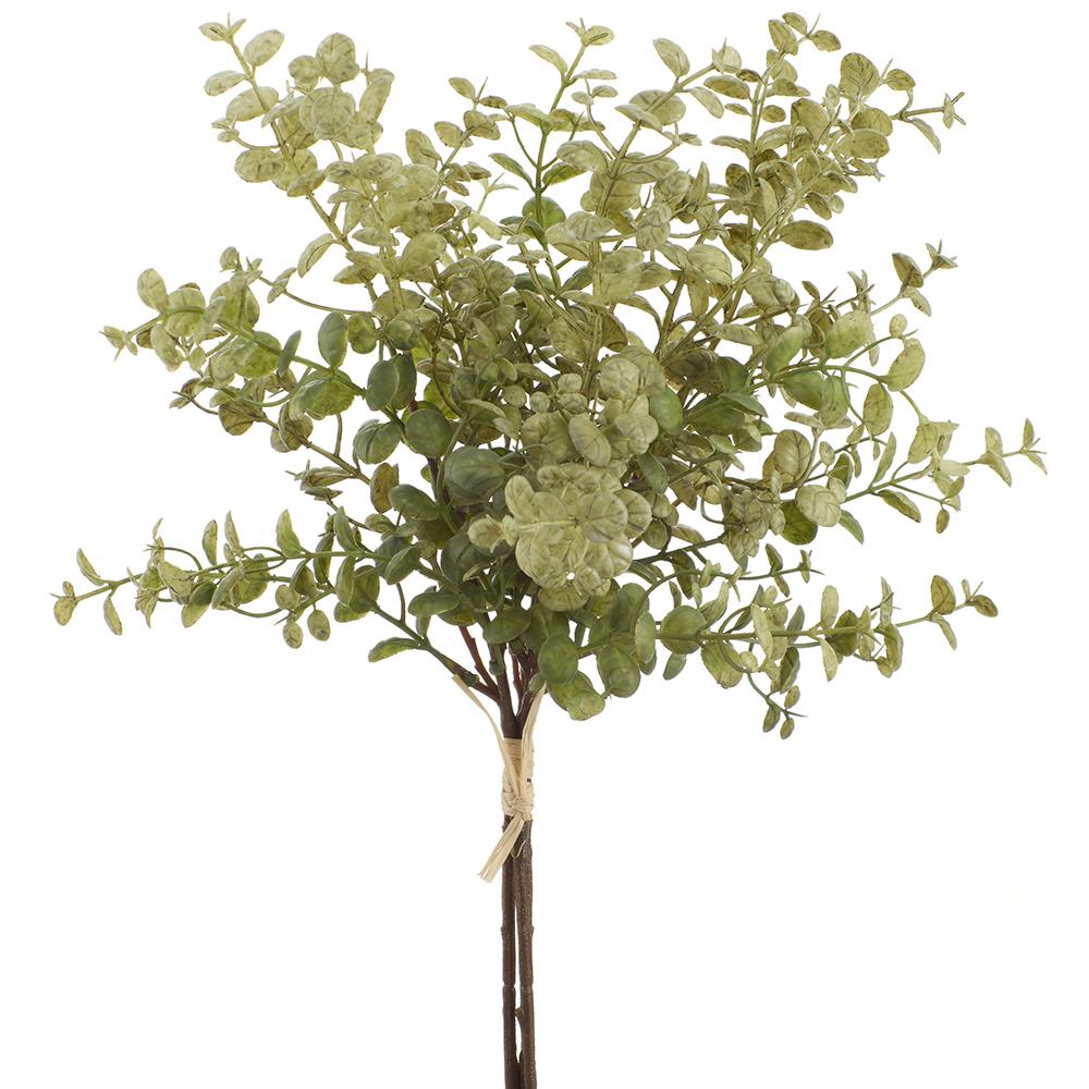 16" Boxwood Bundle x3  Green on white background
