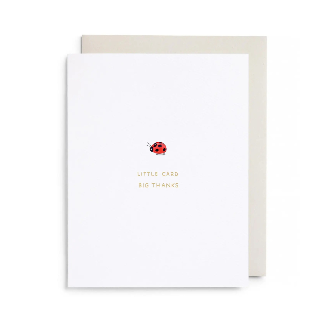 Greeting card with a ladybug illustration and text on a white background