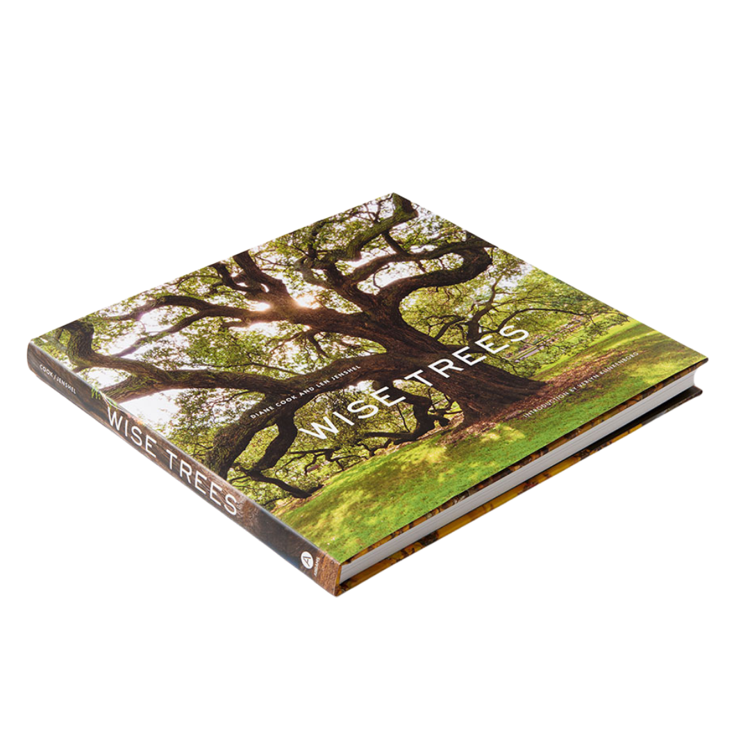 Book titled 'Wise Trees' with a cover featuring an image of a tree on a white background
