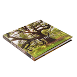 Book titled 'Wise Trees' with a cover featuring an image of a tree on a white background