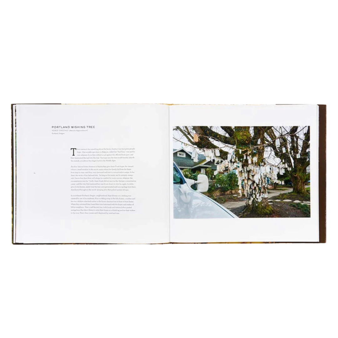 Open book showing a photograph of a tree with decorations and text on a white background