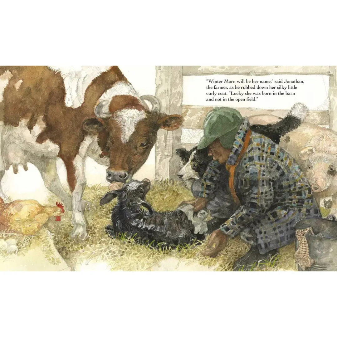 A Home at the Barn Childrens Picture Book Illustration of a farmer tending to a lamb with farm animals around