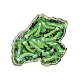 Top-down view of a golf course layout with greens and fairways on an acrylic block 