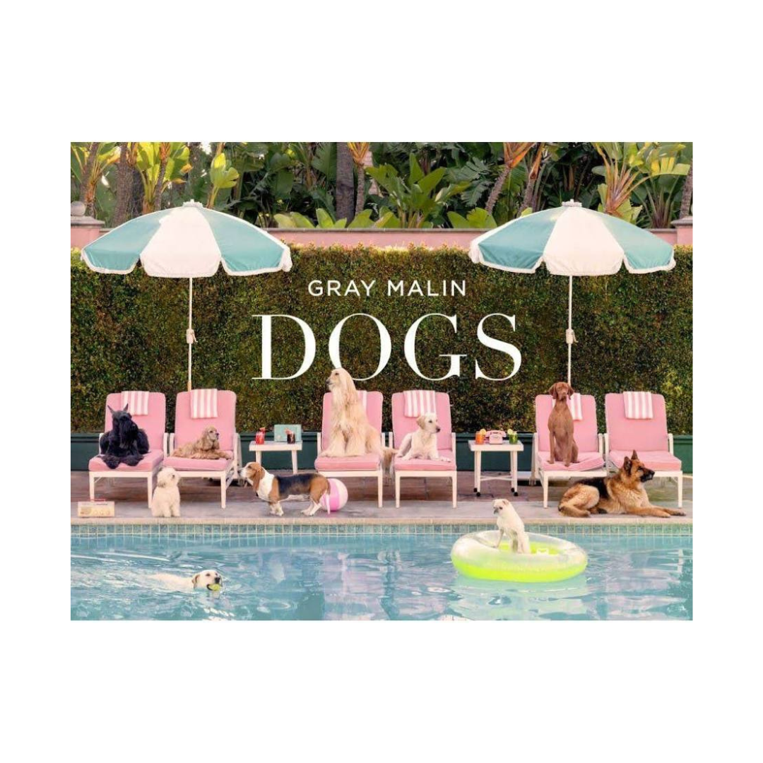 Book cover of 'DOGS' by Gray Malin featuring dogs around a pool with umbrellas.