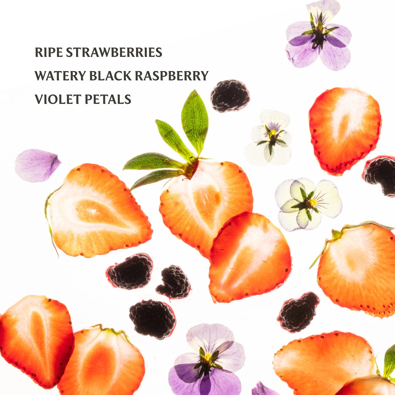Illustration of ripe strawberries, black raspberries, and violet petals on a white background.