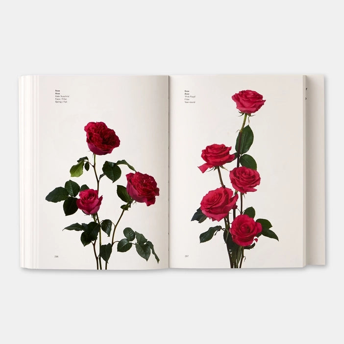 Open book showing illustrations of red roses on a white background