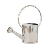 Silver watering can on a white background