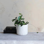 White textured planter with a plant on a gray surface against a neutral wall.