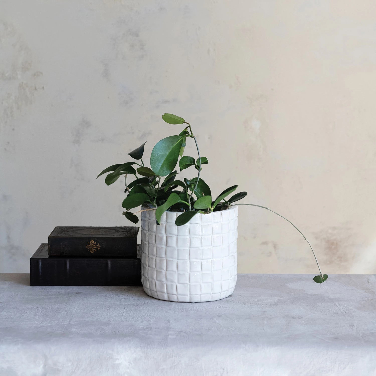 White textured planter with a plant on a gray surface against a neutral wall.