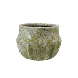 Green textured pot on a white background