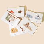 Set of greeting cards with various illustrations on a beige background