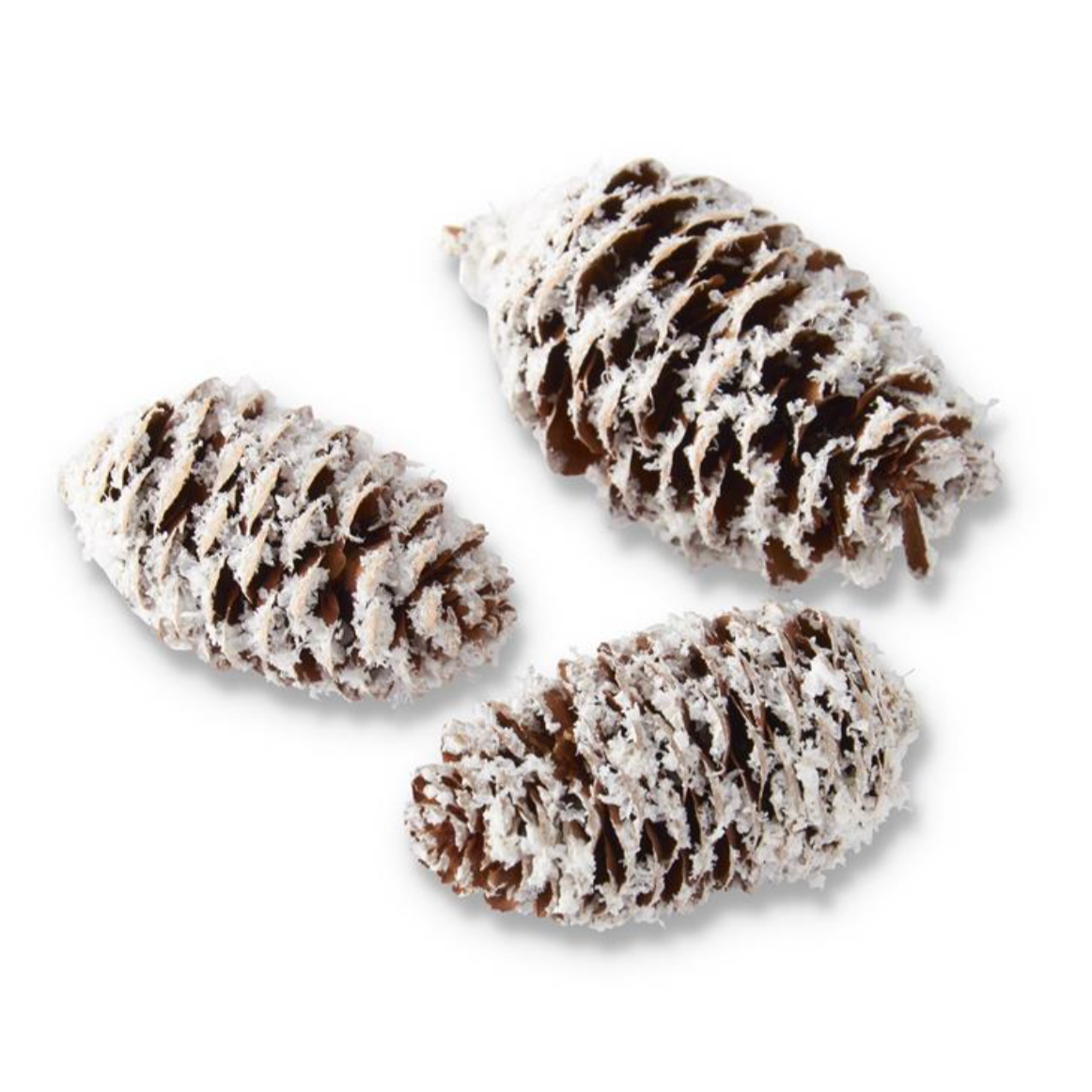 6.5 INCH CYLINDER OF GLITTERED FLOCKED LONG BROWN PINECONES 