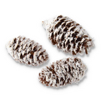 6.5 INCH CYLINDER OF GLITTERED FLOCKED LONG BROWN PINECONES 